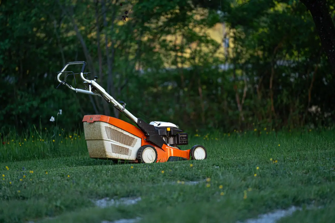 Dependable Pest Control across Palm Bay, Florida
