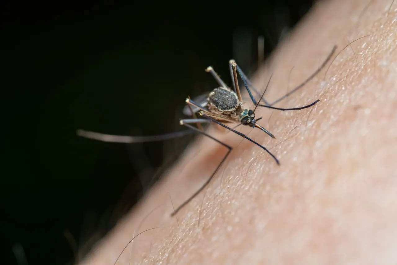 Fast Action Pest Control Pros serving Palm Bay, Florida