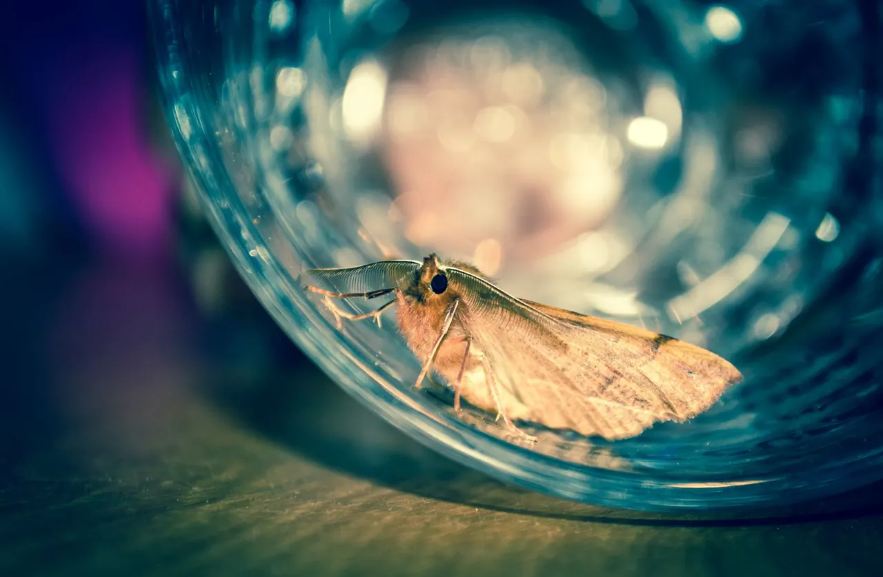 Fast Action Pest Control Pros — Pest Control you can rely on